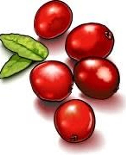 Cranberry Butter
