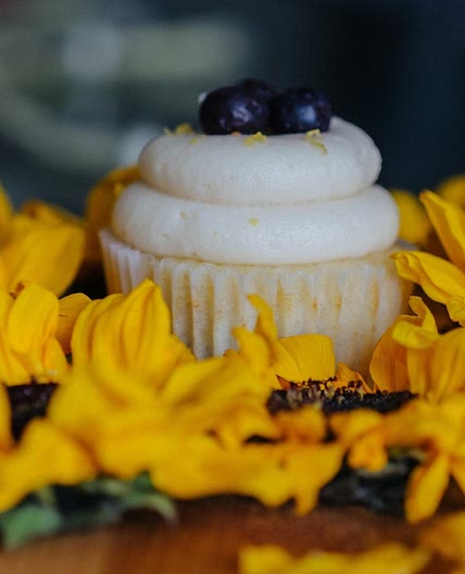 Blueberry Cupcakes
