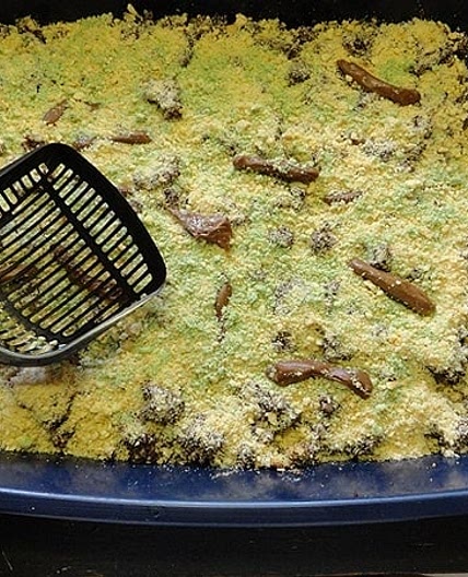 Kitty Litter Cake