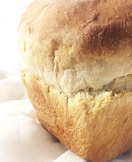 Whey Bread Recipe - High Altitude