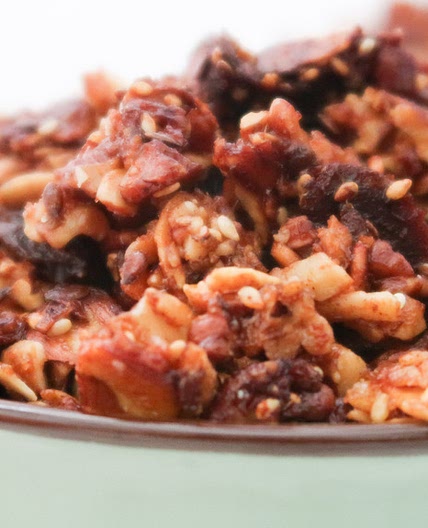 Easy Paleo Granola {Grain-free, Gluten-free, Vegan}