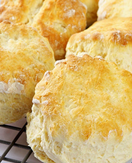 Plain Scones | PKU