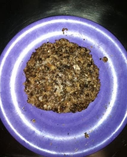 PKU Mushroom Burgers