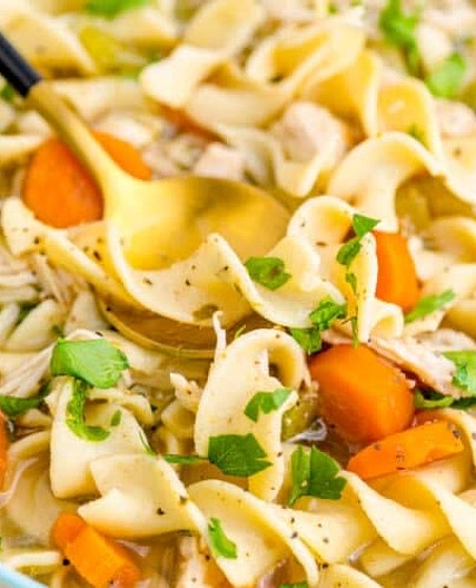 Instant Pot Chicken Noodle Soup