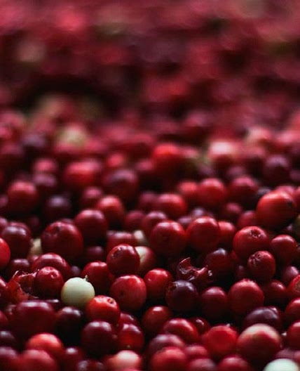 Jalapeno Cranberry Salsa — Scratch Pantry
