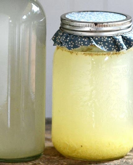 Homemade Ginger Beer
