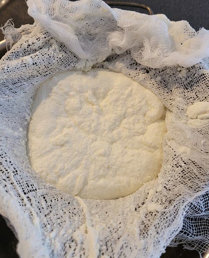 Ricotta cheese-home made