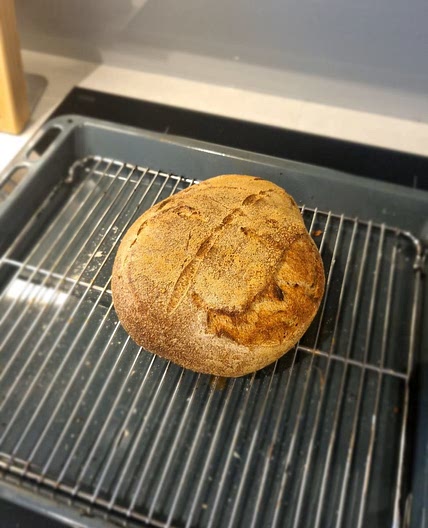 Sourdough (56% Hydration)