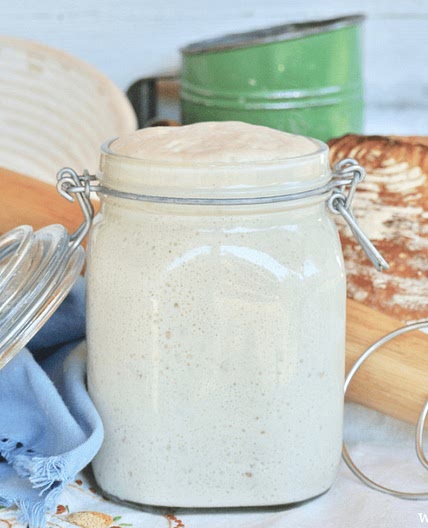 Homemade Sourdough Starter