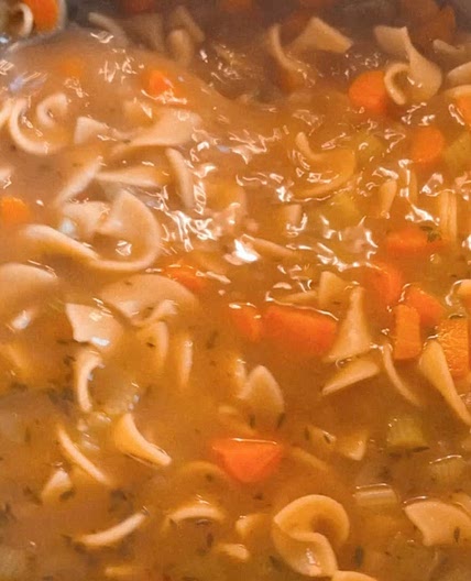 chicken noodle soup 