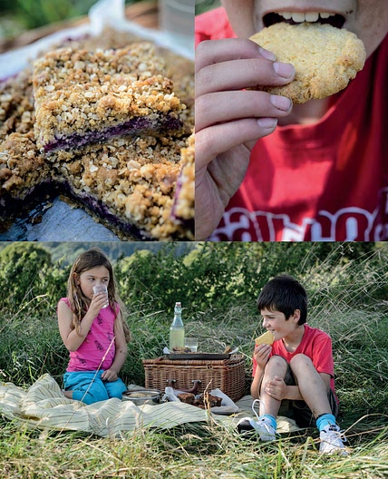 Apple and Blackberry Crumble Bars