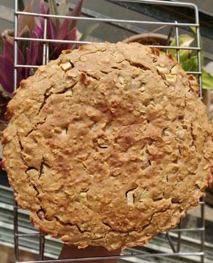 Apple Oatmeal Snack Cake