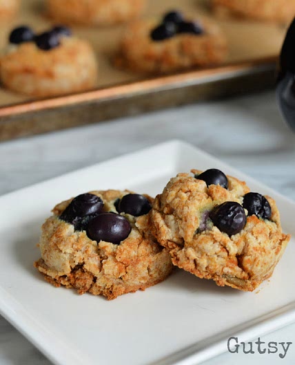 Blueberry Muffin Bites (AIP)