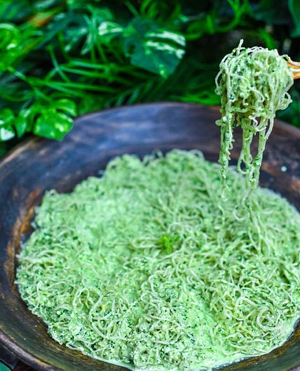 Kelp Noodles with Kale Basil Pesto