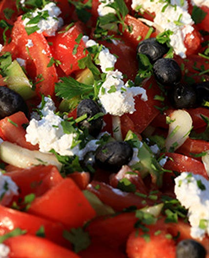Zone Greek Turkey Salad