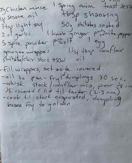 Chicken dumplings 
