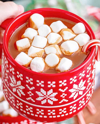 Crock Pot Hot Chocolate (+Video)