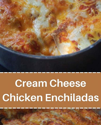 Cream Cheese Chicken Enchiladas