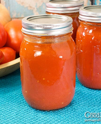 Seasoned Tomato Sauce Recipe