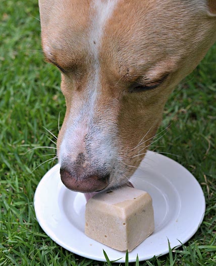 Peanut Butter and Banana Frozen Dog Treats