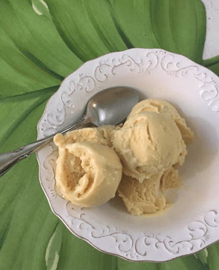 Cuban Mantecado Ice cream 