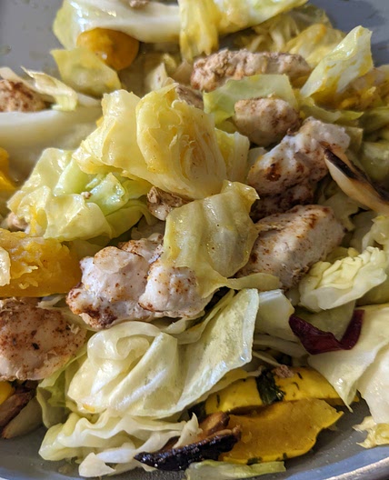 Delicata squash with chicken and cabbage