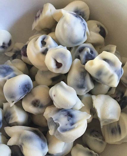Healthy Frozen Yogurt Blueberries
