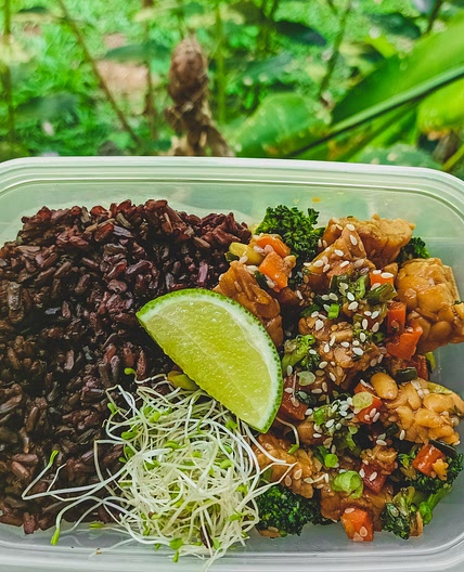 Tempeh Teriyaki with Broccoli on Rice