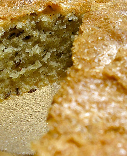 Seed Cake | 1861 Recipe - OAKDEN
