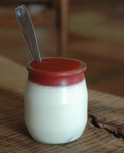 Homemade Yogurt