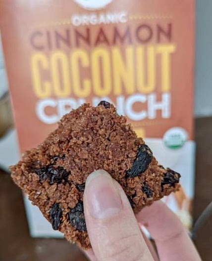 AIP Breakfast Bars with Cinnamon and Raisins