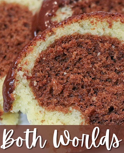 Best of Both Worlds Bundt Cake