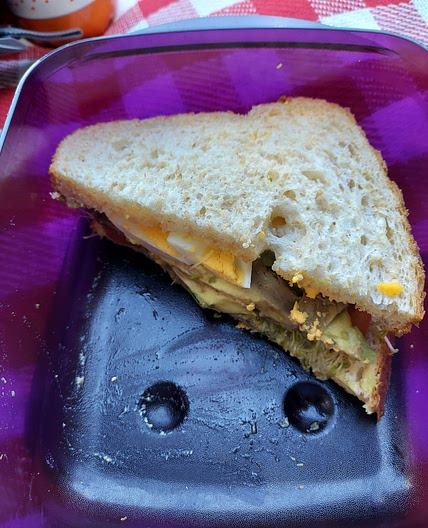 Egg and Avocado Pesto Sandwich