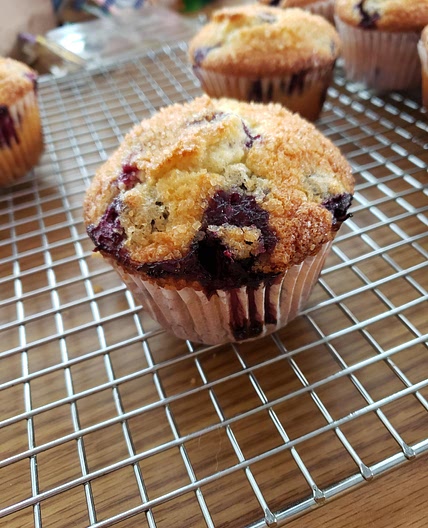 To Die For Blueberry Muffins