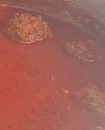 Italian Tomato Sauce, Meatballs & Sausages