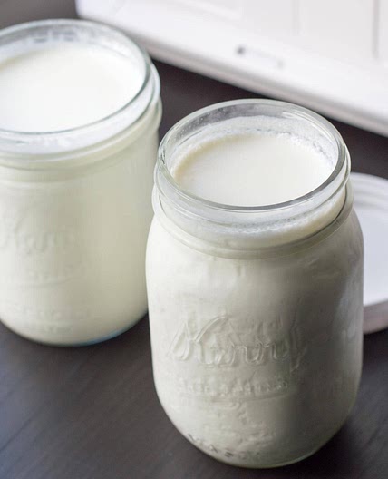 Instant Pot Greek Yogurt