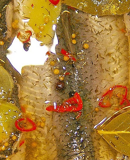 Glasbläserhering