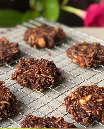 Dehydrated Cookies: Raw Vegan Chocolate Cookies