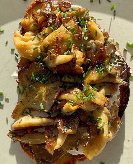 Wild Mushrooms and Ricotta on Toast