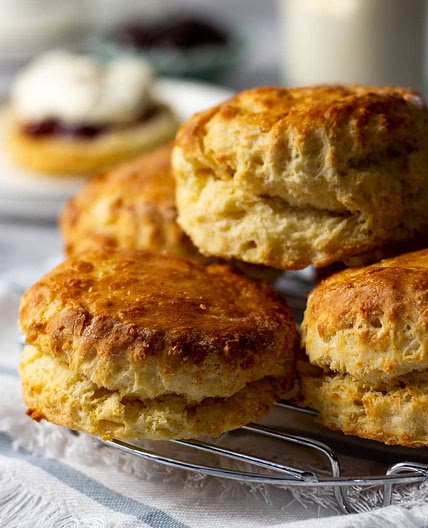 Simple Classic Scones