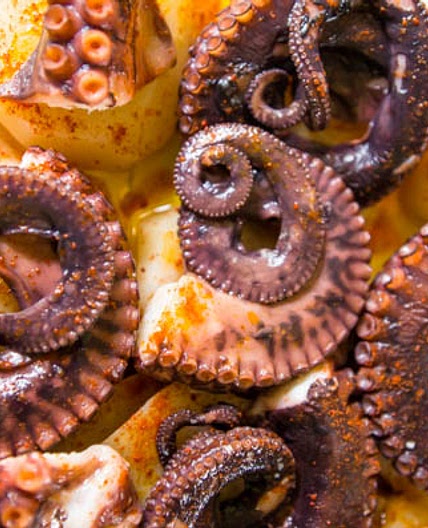 Tapas | Pulpo a la Gallega