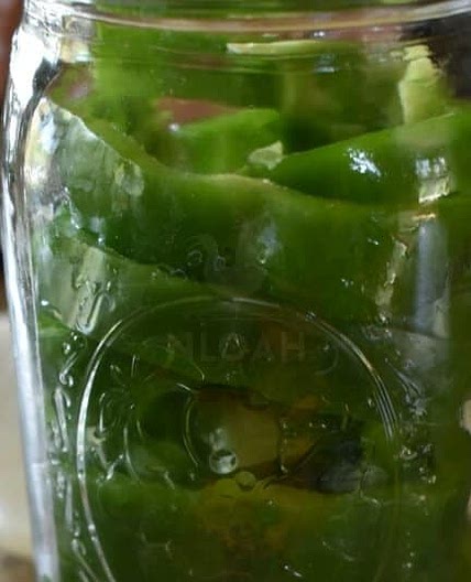 Canned Peppers