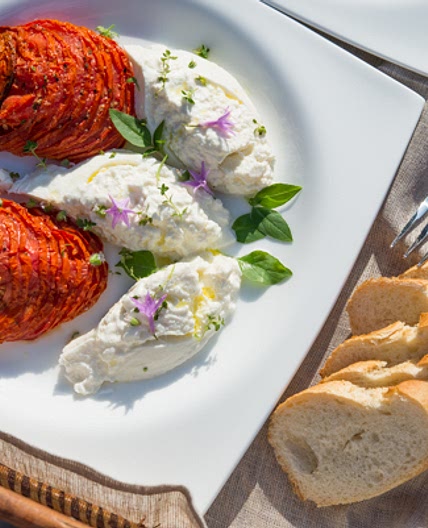 Roasted Tomato and Burrata Salad