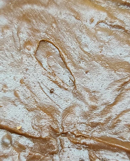Chocolate Sheet Cake Frosting