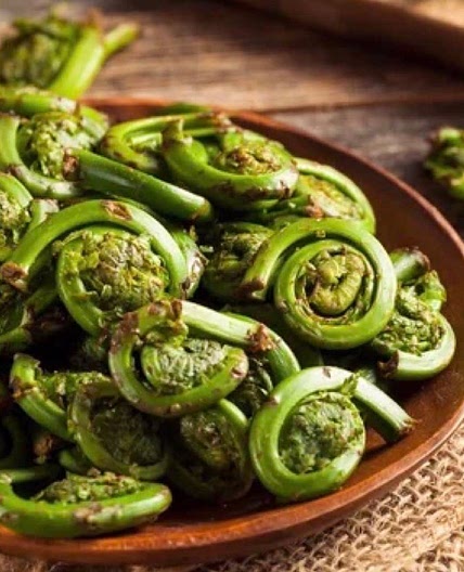 Cream of Fiddlehead & Potato Soup
