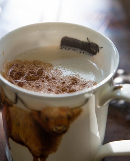 Winter Drinks: Scottish Posset