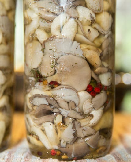 Pickled Oyster Mushrooms