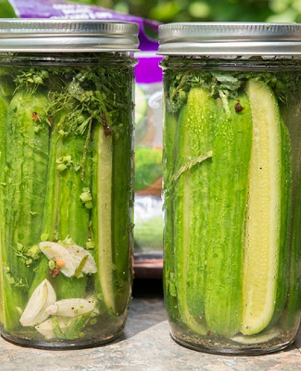Easy-Fizzy Cucumbers