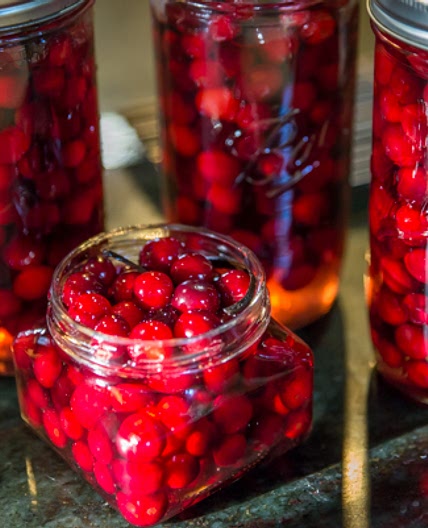 Cranberry Gems