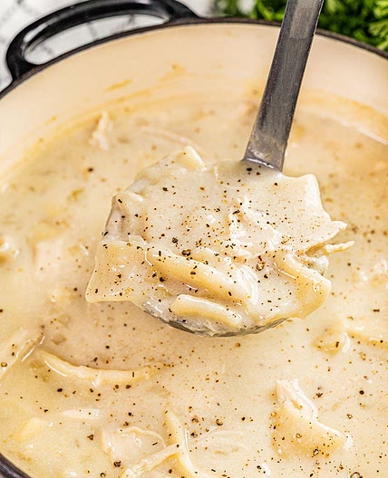 Southern Style Chicken and Dumplings
